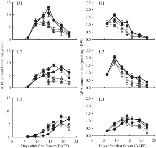 Figure 3. Changes in grain ABA content and concentration in primary spikelets in the upper part of a panicle (U1) and in secondary (L2) and tertiary spikelets (L3) in the lower part. Error bars represent standard error (n = 5). ··■·· AC (ambient temperature without shading); —●— AS (ambient temperature with shading); ··□·· HC (high temperature without shading); —○— HS (high temperature with shading).