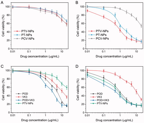 Figure 6. In vitro cytotoxicity of different drug formulations. (A–C) Cell viability of NIH-3T3 cells after treatment with NPs (A) or free drugs (C) for 48 h. (B–D) Cell viability of MCF-7 cells after incubation with NPs (B) or free drugs (D) for 48 h. Their results were presented as mean ± SD (n = 6).