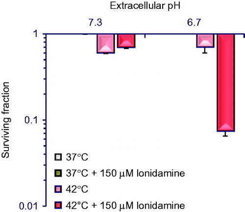 Figure 3. Hyperthermia-mediated cell killing is enhanced by 150 μM lonidamine. Lonidamine was administered beginning 1 h prior to a 2-h hyperthermia treatment. Cells were grown and treated at the indicated extracellular pH (pHe). Hyperthermia increased cell killing at pHe of both 7.3 and 6.7. Lonidamine had a synergistic effect on cell killing in cells grown at pHe 6.7 only. (Data re-plotted from Coss et al. [Citation14]).