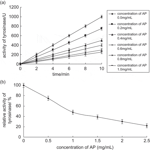 Figure 2 (a) Progress curves for the inhibition of diphenolase activity by apple polyphenols. (b) Effects of apple polyphenols on the relative activity of diphenolase.