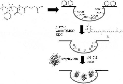 Figure 13. Schematic of the immobilization of proteins in honeycomb pores. Reproduced with permission from [Citation109] (Copyright 2008, Wiley).