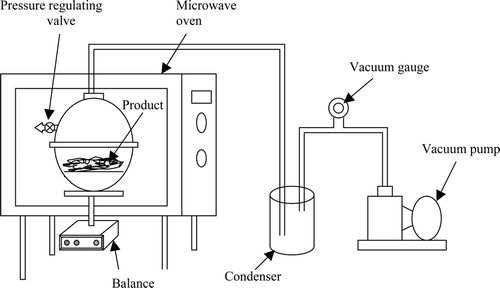 Figure 1 Experimental microwave-vacuum drying apparatus.