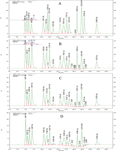 Figure 1. Chromatograms of amino acid from standards (A) and O. acuminata protein (B: inflorescences, C: peduncles, D: leaves).