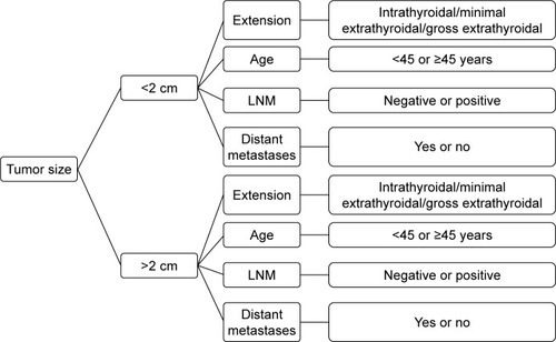 Figure 1 Stratification of patients based on tumor size, tumor extension, age, lymph node and distant metastases.