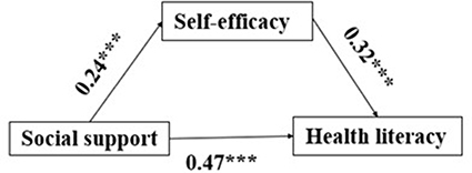 Figure 1 Diagram of the mediation effect model.