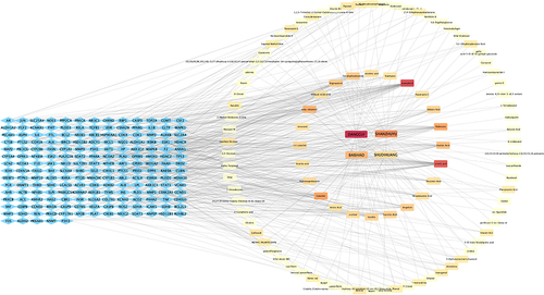 Figure 3 Network of YJZYT active compounds and TE targets.