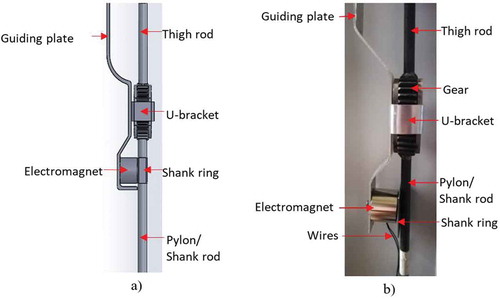 Figure 1. Modified gear-based knee joint prosthesis with the integrated locking mechanism, (a) CAD design and (b) real view