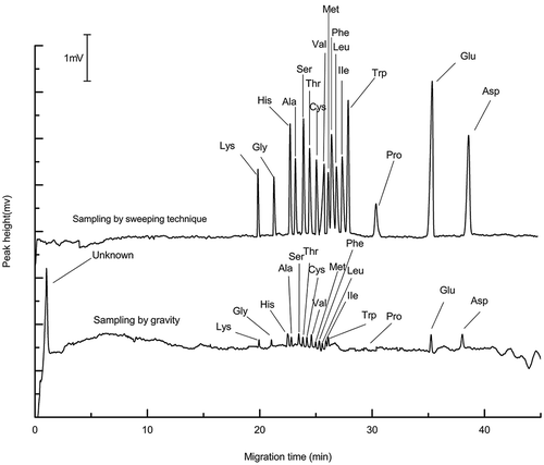 Figure 1. (a) Electropherograms of amino acids by sampling based on gravity and sampling on the basis of sweeping technique. The running buffer contained 50 mM CuSO4, the pH was 4.40, and separation voltage was 22.5 kV, other conditions were described in the text. UV absorption at 254 nm.