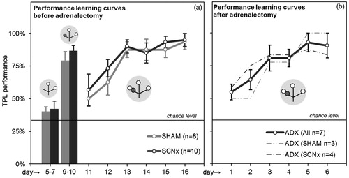 Figure 5. Habituation results and TPL learning curves. (a) Average performances of SHAM and SCNx mice during the last two habituation steps (left bar graphs) and the first 6 days of TPL testing (learning curve). (b) Combined and separate learning curves of ADX (SHAM) and ADX (SCNx) mice. Grey circular symbols represent the maze. Within, small open circles indicate food at the end of an arm of the maze and small dark grey circles indicate the application of the foot-shock. Note that only the 1st session test situations are depicted. The non-target location (non-baited and non-shock reinforced during habituation days 5–7, non-baited and shock-reinforced during habituation days 9–10, baited and shock-reinforced during actual testing on following days), changes with the TOD (i.e. session). The horizontal lines represent chance level (33%).
