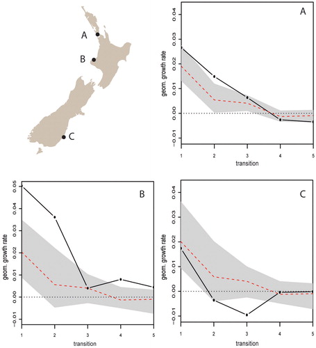 Figure 8. Observed geometric growth rates at three locations in New Zealand. Where growth at a transition falls outside the gray confidence envelope it is regarded as a significant local deviation from the null.