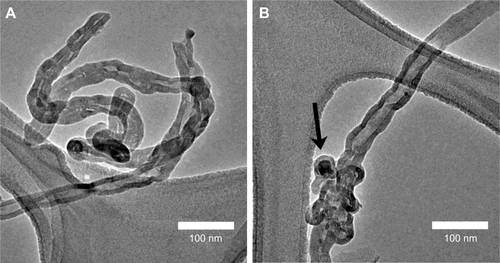 Figure S2 TEM images of typical MWCNTs (undoped) before (A and B) and after (C and D) acid treatment.Notes: Most of the metallic nanoparticles are inside the pristine carbon nanotubes (A and B). Besides the elimination of such nanoparticles, acid treatments provoked severe damages on the MWCNTs surface (C and D). The arrows show the damage provoked by the acid treatment in the MWCNTs surface.Abbreviations: TEM, transmission electron microscopy; MWCNTs, multiwalled carbon nanotubes.