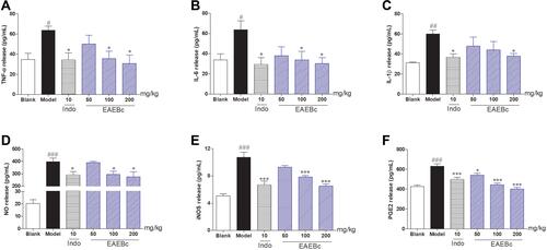 Figure 2 In vivo effects of EAEBc on LPS-induced inflammatory model mice.