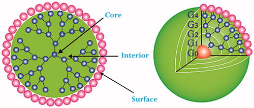 Figure 4. Schematic presentation of dendrimers. Adapted from the published works of Debnath et al. [Citation128].