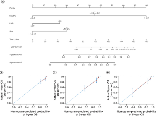 Figure 3. Nomogram and its calibration curves. (A) Novel nomogram for predicting 1-, 3- and 5-year OS in gastric cancer patients with triple-negative tumor markers. (B–D) Corresponding calibration curves.LMR: Lymphocyte-to-monocyte ratio; LODDS: Log odds of positive lymph nodes; OS: Overall survival.