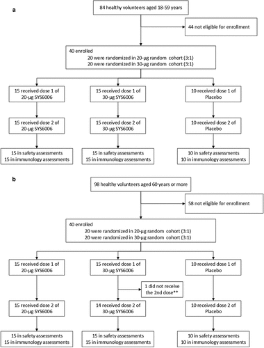 Figure 1. Trial profile. This participant did not receive the second vaccination due to SAE (multiple fractures), but did not withdraw from the study (**).