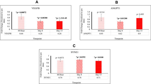 Figure 2 (A) The expression of VEGFB significant at all timepoints (B) The expression of ANGPT1 significant at D8 (C) The expression of SYNE1 significant at D8 and D15.