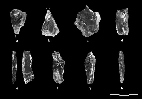 Figure 6. Lithic artifacts found at the site. (a) Burin-scraper. (b) Dihedral burin. (c) Perforator. (d), (e) Laterally retouched pieces. (f), (g) Blades. (h) Crested bladelet (figure by T. Hess).