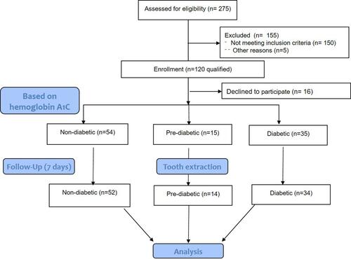 Figure 1 Patient flow during the study.