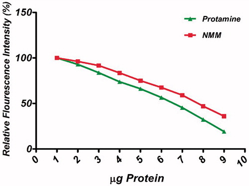 Figure 4. Ethidium bromide (EtBr) exclusion assay of NMM and protamine. Titration curves depicting the release of EtBr from pDNA upon binding NMM (solid squares) and protamine (solid triangles). The assay was conducted in PBS (10 mM, pH 7.4). Graphs represent gradual decreasing in % fluorescent intensity of EtBr due to EtBr exclusion across N/P charge ratios ranging 1 to 11. NMM: NLS-Mu-Mu; N/P ratio: nitrogen to phosphate ratio.