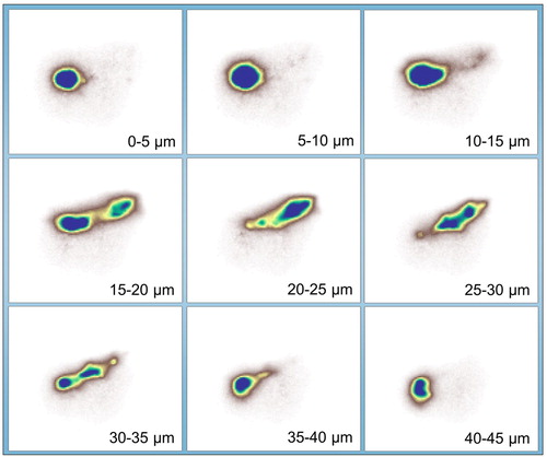 Figure 4. Pseudo white beam diffraction patterns, calculated by summing the diffraction patterns collected through a series of energies. From left to right and top to bottom, the depth is increased from 0–5 µm to 40–45 µm.