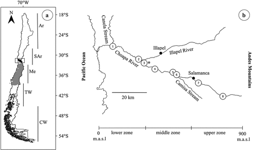 Figure 1. Geographic distribution range of Parastacus pugnax in Chile. a) The gray outline indicates the historical distribution range and the black outline indicates the study area in the Choapa River Basin, northern-central Chile. Climatic and hydrographic regions of Chile (Geographic Military Institute of Chile – IGM) [Citation14,Citation15]. b) Altitudinal stratification of the sampling sites. Ar = Arid, SAr = Semiarid, Me = Mediterranean, TW = Temperate Wet, CW = Cold Wet. * = DGA fluviometric station.