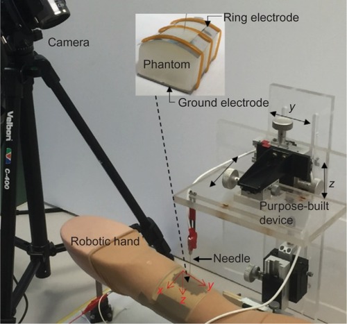 Figure 2 Experimental setup to evaluate the electric field potential and camera hybridization method to localize the needle tip: robotic hand, camera, and phantom.
