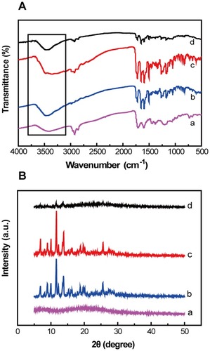 Figure 5 (A) FT-IR spectra and (B) XRD patterns of (a) raw Ce6, (b) raw HCPT, (c) physical mixture of HCPT and Ce6, and (d) HCPT/Ce6 nanorods.Abbreviations: HCPT, 10-hydroxycamptothecine; Ce6, Chlorin e6; FT-IR, fourier-transform infrared; XRD, powder X-ray diffraction