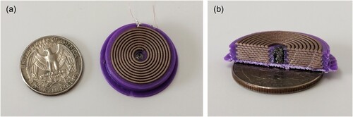 Figure 7. Three-dimensional, monolithically 3D-printed FeSiAl Nylon-cored eight-layered solenoid: (a) top view next to a US quarter and (b) cut view on top of a US quarter.