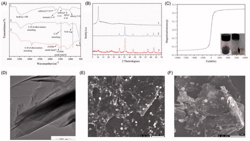 Figure 2. FT-IR spectra (A) of the GO (1), NH2-Fe3O4 (2), AMGO (3). Powder X-ray diffractogram (B) of GO (1), NH2-Fe3O4 (2) and AMGO nanocomposites (3). Room-temperature magnetisation curves (C) of AMGO nanocomposites. The inset picture in (C) showed the AMGO dispersibility and magnetic separation ability. TEM images of GO (D). SEM images of AMGO at 2.5:1 (E) and α-AMGO microreactors (F).