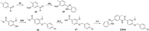 Scheme 6. Reagents and conditions: (i) HNO3/H2SO4 = 1:3, 0 °C to rt, 1 h; (ii) o-phenylenediamine, Na2S2O4, DMF, 150 °C, 10 h; (iii) 1-(bromomethyl)-4-chlorobenzene, toluene, K2CO3, 120 °C, 7 h; (iv) NaOH, MeOH/THF/H2O, 50 °C, 3 h; (v) Step1: SOCl2, DCM, reflux, 2 h; Step2: 45, NaH, DCM, 0 °C to rt.