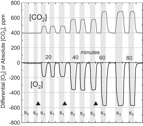 Figure 2. Output of the IRGA [CO2] and DOX [O2] (converted to absolute or differential concentrations, respectively), during a typical experimental run where the gas supplied to the sample cell of the DOX and IRGA was switched between a reference gas (clear background) and a sample gas (shaded background). The ~5-L sample gas bag was either identical in gas composition to the reference gas (S0) or the result of 0.3 mL (S1), 0.8 mL (S2), or 1.2 mL (S3) injections of 10.15% CO2 in N2 at the times denoted by the black triangles.