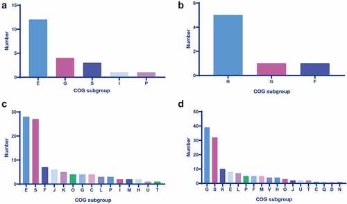 Figure 1. Cog analysis of DEGs in the sc84 interaction groups. A. Upregulated DEGs in the 2 h post-interaction group. B. Downregulated DEGs in the 2 h post-interaction group. C. Upregulated DEGs in the 4 h post-interaction group. D. Downregulated DEGs in the 4 h post-interaction group. The subgroups of cog are indicated in the bars with different colour.