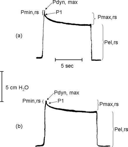 Figure 1.  Representative tracings of lateral tracheal pressure at flow interruption. Panels A and B show tracings recorded before and 20 min after i.p. 100 mg/kg captopril administration, respectively, in the same rat. The relevant pressures used for the calculations of respiratory system mechanics are indicated: maximal pressure at end-inflation (Pdyn,max), pressure immediatly after flow interruption (P1), static elastic pressure of the respiratory system (Pel,rs), pressure drop due to the ohmic respiratory system resistance (Pmin,rs) and total pressure drop including the effects of stress relaxation (Pmax,rs).