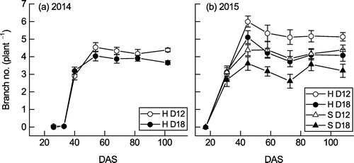Figure 3. Changes in the number of branches per plant of Hatsusayaka (H) or Sachiyutaka (S) at normal (D12) and high (D18) densities in (a) 2014 and (b) 2015. Values are mean ± S.E. (n = 6).