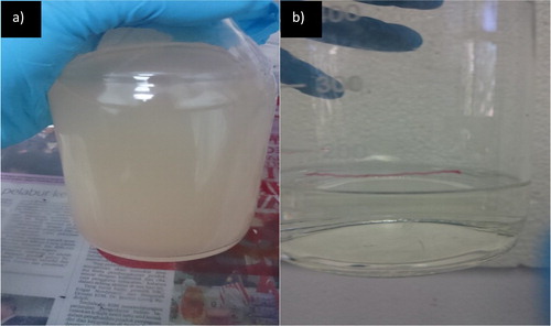 Figure 10. Photograph image of phenol solution (a) before and (b) after 270 min of adsorption. [Initial phenol concentration = 100 ppm, aqueous solution volume = 50 mL, agitation = 100 rpm, aqueous solution original pH = 4.0, room temperature = 25 °C and weight of electrospun nanofibre = 0.14 g].