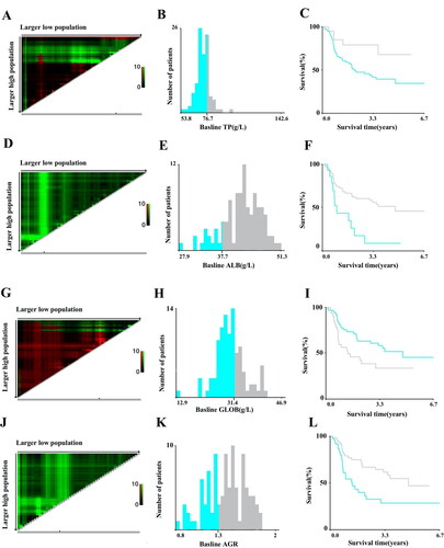 Figure 2. X-Tile analysis of the total risk score and survival according to the optimal cutoff levels of TP (A–C), ALB (D–F), and GLOB (G–I), AGR (J–L).