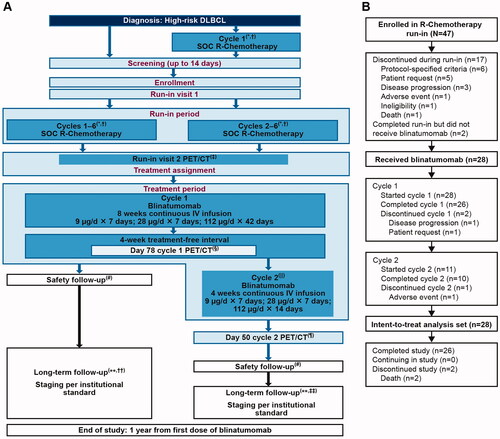 Figure 1. Study design and patient disposition. The figure shows (A) Study design. (B) Patient disposition. *All patients (whether enrolled prior to cycle 1 or prior to cycle 2 of R-chemotherapy) who completed 6 cycles of SOC R-chemotherapy. †In patients who were receiving radiation therapy to bulky disease, this occurred after cycle 6 SOC R-chemotherapy and PET/CT was completed. ‡PET/CT was performed 3 weeks (±3 days) after cycle 6 SOC R-chemotherapy. §PET/CT must be performed 3 weeks (+3 days) after the last blinatumomab dose of cycle 1 (day 78 of cycle 1). ǁAt the discretion of the investigator, a second cycle of blinatumomab was administered to patients who did not have progressive disease. ¶PET/CT was performed 3 weeks (±3 days) after the last blinatumomab dose of cycle 2 (day 50 of cycle 2). #Safety follow-up visit was completed 30 days (±3 days) after the last dose of blinatumomab. ∗∗Patients should be followed for 1 year since the first dose of blinatumomab. ††If only cycle 1 of blinatumomab was given, long-term follow-up began 3 months (±3 weeks) after the last scan (day 78 of cycle 1). ‡‡If cycle 2 was given, long-term follow-up began 3 months (±3 weeks) after cycle 2 day 50. DLBCL: diffuse large B-cell lymphoma; IV: intravenous; PET/CT: positron emission tomography/computed tomography; R-chemotherapy: rituximab with chemotherapy; SOC: standard of care.