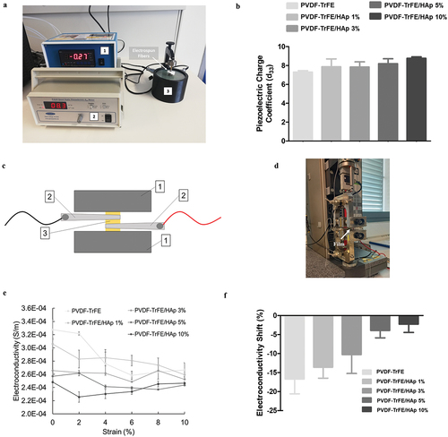 Figure 3. Photo (a) of the setup used for the quasi-static measurement of the piezoelectric charge coefficient (d33) of the as-spun PVDF-TrFE nanofibers with and without HAp. 1 – static force sensor; 2 – Berlincourt piezoelectric meter; 3 – piezoelectric sensor. Piezoelectric charge coefficient (d33) (b) of the PVDF-TrFE nanofibers with and without HAp. Scheme (c) and photo (d) of the setup used for the connection of the PVDF-TrFE/HAp films to a multimeter using metallic clips, while a sample was being held by the clamps of a tensile testing instrument used for deformation. 1 – clamps of tensile testing equipment; 2 – metallic clips connected to multimeter; 3 – PVDF-TrFE/HAp film. Variation of electroconductivity (S/m) with deformation for PVDF-TrFE/HAp films (e). Electroconductivity shifts (f) obtained for the different films between the 0% and 10% strain measurement points. Three different measurements per condition (n=3) were used in the analysis.