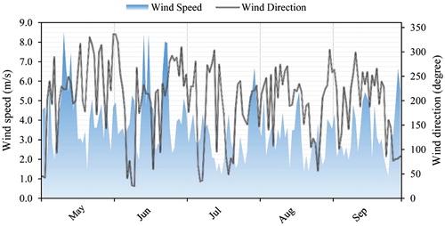 Figure 3. The daily wind speed and wind direction at Rotterdam Airport in summer 2013 (KNMI).