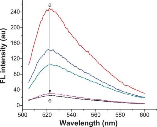 Figure 7 Fluorescence spectra from “a” to “e” for the addition of 20 nM target, one-based mismatch, three-based mismatch, non-complementary MDR1 gene and without any target in the test conditions of 8 μL SGI, 50 nM CP, and 2 μg/mL GO.Abbreviations: FL, fluorescence; au, arbitrary units; MDR1, multidrug resistance protein 1; SGI, SYBR Green I; CP, capture probe; GO, graphene oxide.