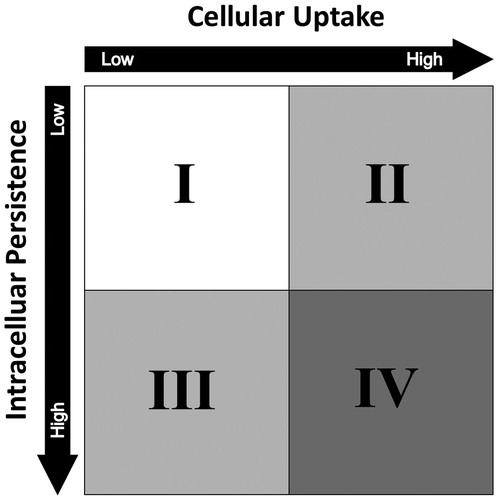 Figure 4. The HES ENP interaction. The HES ENP interaction divides nanoparticles into four different groups. The grouping strategy is based on cellular uptake and intracellular persistence of an iNP. By monitoring these two parameters, distinct hazard assessment strategies can be designed for individual ENP interaction groups. As a general rule, the higher the category the higher the number of possible hazards and thus the number of required safety assessments. It should be noted that the generation of ROS or an involvement and activation of the immune system has a major impact on the interpretation of the HES classification. For example, humoral responses mediated by the complement system may lead to hemolysis and platelet aggregation. Cellular immune responses may lead to particle depletion.