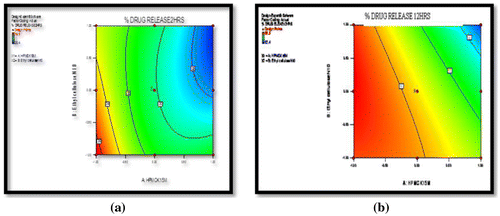 Figure 3. Contour plot showing the relationship between various levels of Polymers (HPMCK 15M) and Ethyl cellulose on % drug release in (a) 2 h and (b) 12 h.