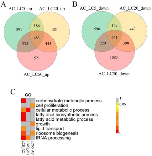 Figure 2. (A) the up-regulated genes compared to down-regulated genes in LC after removal of the differentially-expressed genes between AC and CK (B) The enrichment GO terms of DEGs.