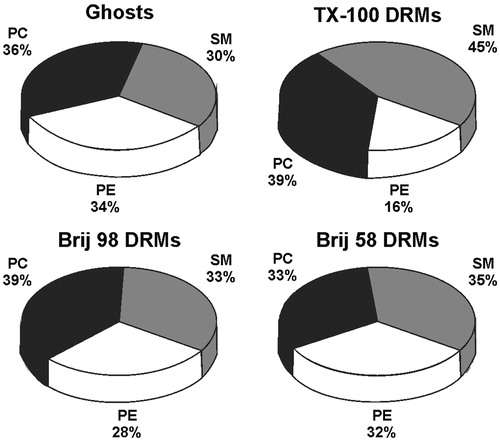 Figure 3. Distribution (mass %) of phospholipid classes (SM – sphingomyelin, PC – phosphatidylcholine, and PE – phosphatidylethanolamine) present in the samples of ghosts, TX-100 DRMs, Brij 98 DRMs, and Brij 58 DRMs analyzed by HPTLC and quantified by densitometry. DRMs were obtained from erythrocytes treated with detergents at 4 °C.
