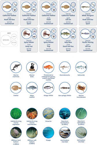Figure 6. Nine California fisheries (units of analysis represent a species, gear type, & sector combination), bycatch species, and habitat type selected for the pilot risk analysis. Credit: California Ocean Science Trust/Hayley Carter.
