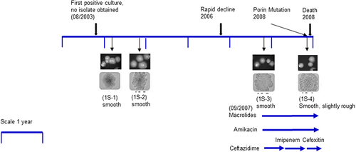 Figure 1. Isolates and timeline of patient 1S: Colony morphology pictures of four patient isolates showed in chronological order: 1S–1, 1S–2, 1S–3, and 1S–4. Upper panels are colony pictures at 10× magnification and lower panels show single colonies at 100× magnification. Isolates 1S–1, 1S–2 and 1S–3 have a smooth morphology, while isolate 1S–4 is smooth albeit slightly rough. The timeline for isolate collection for patient 1S was approximately 5 years. Antibiotic therapy was initiated at a later stage of the disease course around the time of isolate 1S–3.