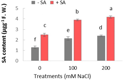 Figure 2. Effect of salinity (0, 100, and 200 mM NaCl) and exogenous application of on SA content in leaves of safflower plants at 21 days after treatments. The groups are −SA (plants with no SA treatment) and SA (plants sprayed with 1 mM sodium salicylate three times a week for every other day). Columns indicate mean ± SE. Means with different letters indicate a significant difference at P ≤ .05 using Duncan multiple range test.