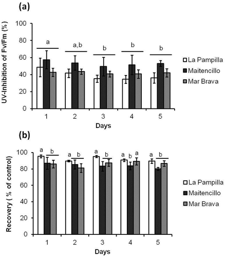 Fig. 2 Changes in percentages of inhibition and recovery of maximum quantum yield (Fv/Fm) of G. lingulatum populations. (a) UV-induced inhibition of Fv/Fm after 2 h of exposure (calculated as the decrease in per cent of the mean Fv/Fm value of the corresponding control under PAR), and (b) Fv/Fm as percentage of the corresponding control after 19 h of recovery post UV-exposure. Values are mean (n = 3) ± SD. Values that are significantly different (Tukey, ANOVA) between each other at p < 0.05 are indicated by different letters above the bars. Similar values are joined by a horizontal line