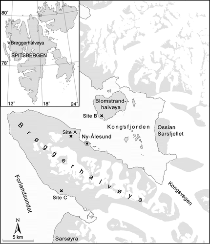 FIGURE 1. Map of the study areas in the Kongsfjord region of northwestern Spitsbergen, Svalbard. Work conducted at the sites was as follows: Site A (Brøgger Peninsula)—reindeer exclosure experiment, extensive monitoring plots; Site B (Blomstrand)—extensive monitoring plots; Site C (Brøgger Peninsula)—tagged reproductive shoots and trampiometers