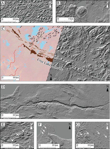 Figure 2. SRTM-derived hillshade imagery and geomorphological mapping of landforms. (A) SRTM imagery of drumlins north of the Cree Lake Moraine. (B) SRTM imagery of a collection of ice-thrust ridges associated with a small water-filled depression (ice-thrust ridges outlined with dashed white line). (C) SRTM imagery and geomorphological mapping of the Cree Lake Moraine (major moraine ridges outlined as brown polygons, eskers indicated with red lines and lineations with black lines). (D) SRTM imagery of a major meltwater channel flowing east-west into Alberta. (E) SRTM imagery of an esker ridge and network (ridge crest indicated by white arrows). (F) SRTM imagery of palaeo-shorelines surrounding Lake Athabasca (most prominent palaeo-shorelines indicated by white arrows). (G) SRTM imagery of parabolic dunes (dune crest indicated by white arrows).